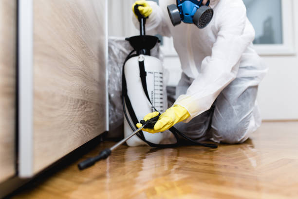 Best Best Pest Control Companies  in Poquott, NY
