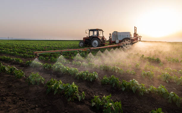 Best Ant Control Services  in Poquott, NY