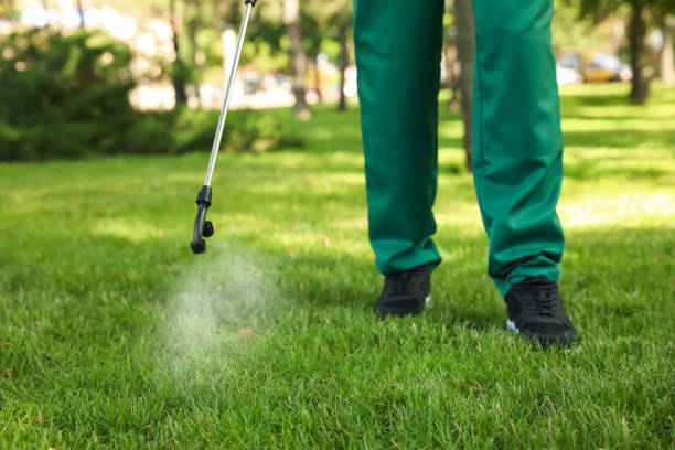 Best Commercial Pest Control Services  in Poquott, NY