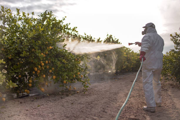 Pest Control Cost in Poquott, NY