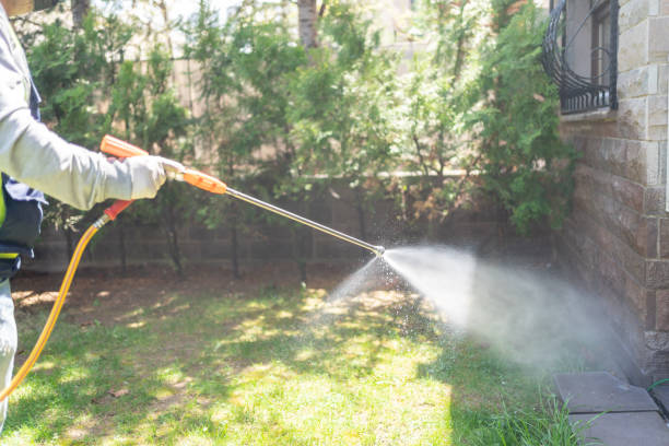Best Pest Prevention Services  in Poquott, NY