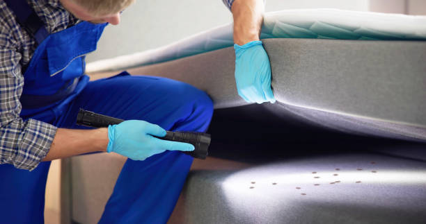 Best Local Pest Control Services  in Poquott, NY