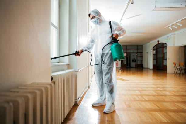 Best Wasp Removal Services  in Poquott, NY